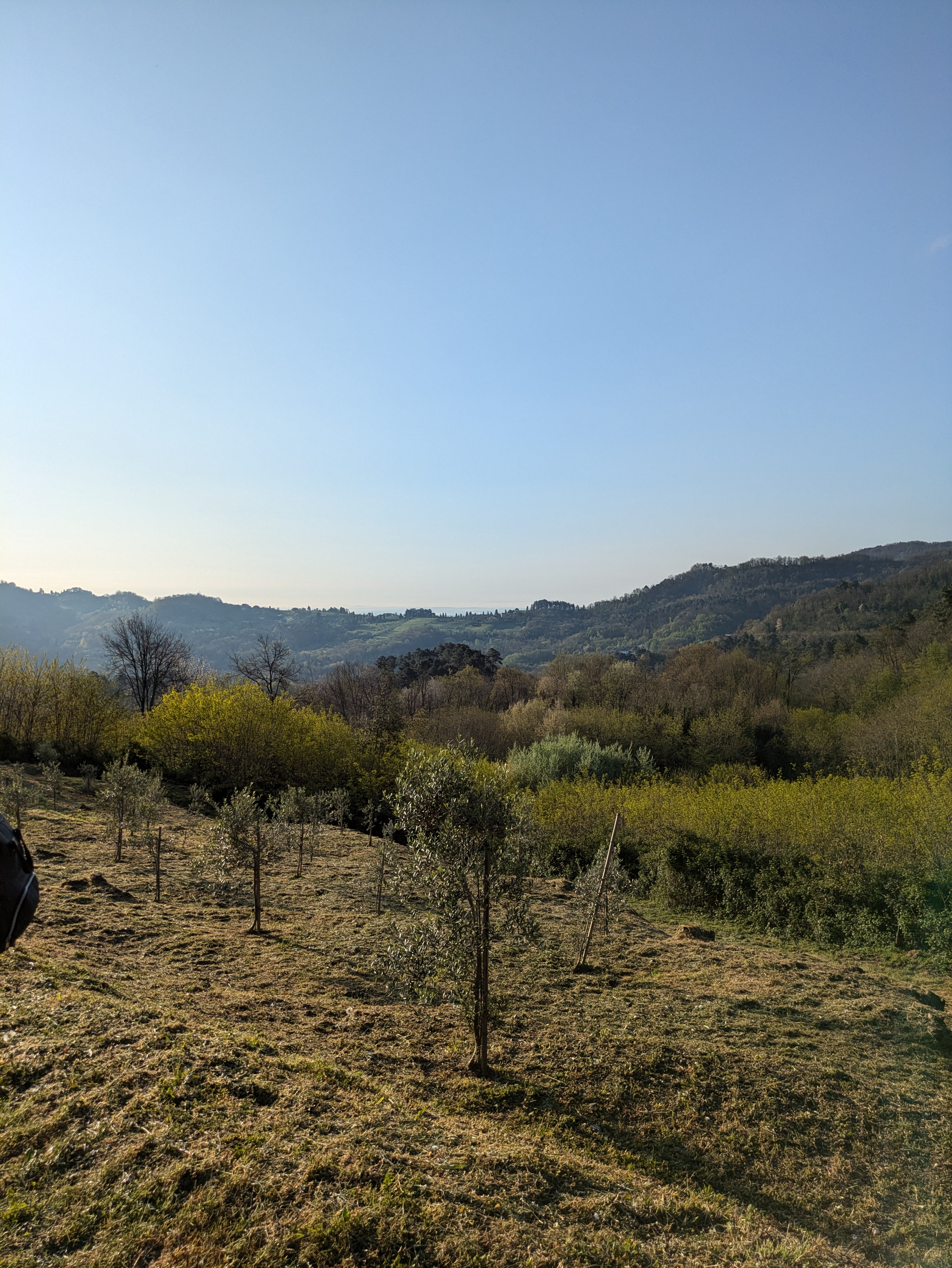 Tuscan landscape